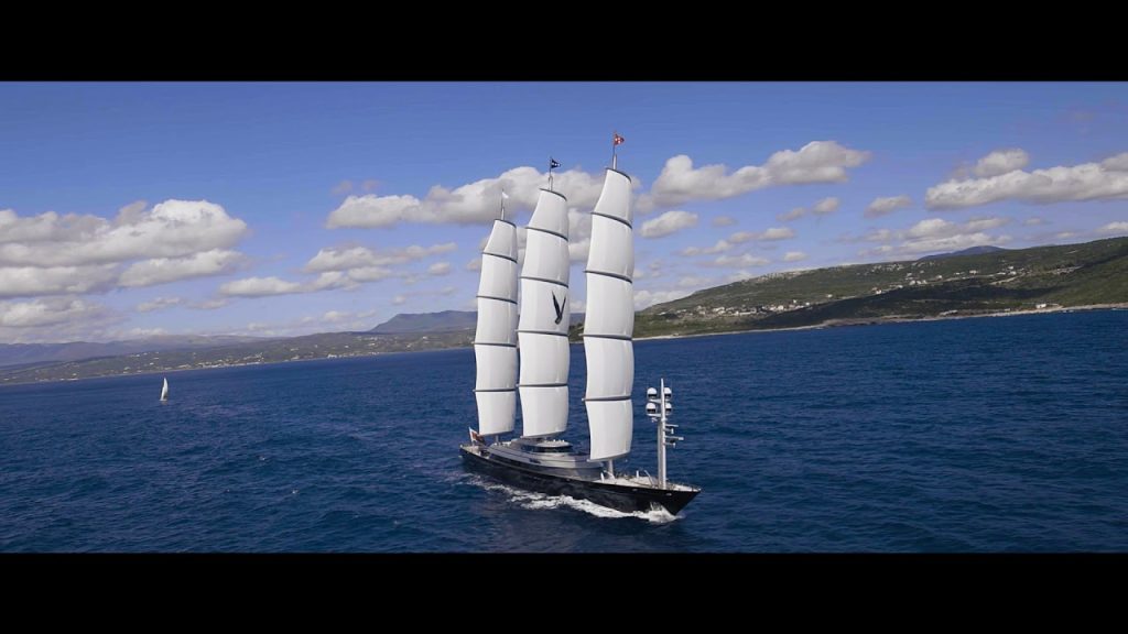 Maltese Falcon